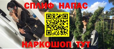 МДПВ Ливны